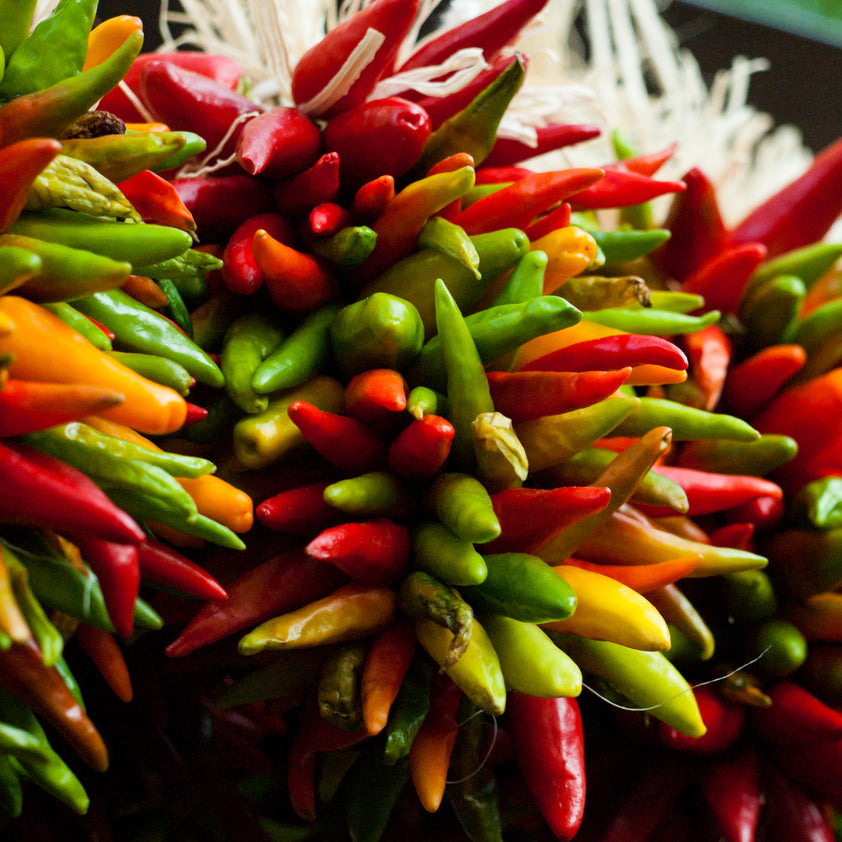 Welche Chili-Arten gibt es? Alles über Sorten, Schärfe & Einsatzmöglichkeiten