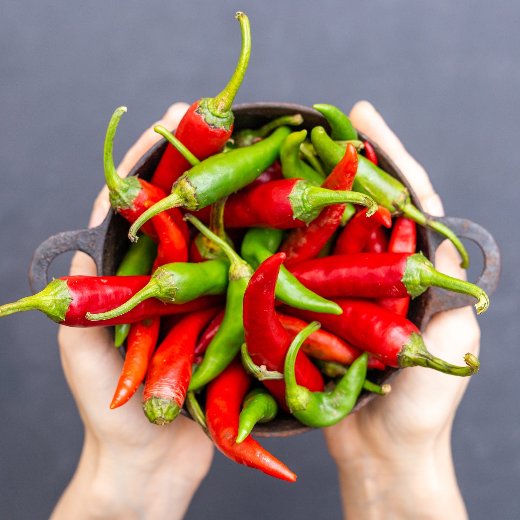 Die schärfste Chili der Welt