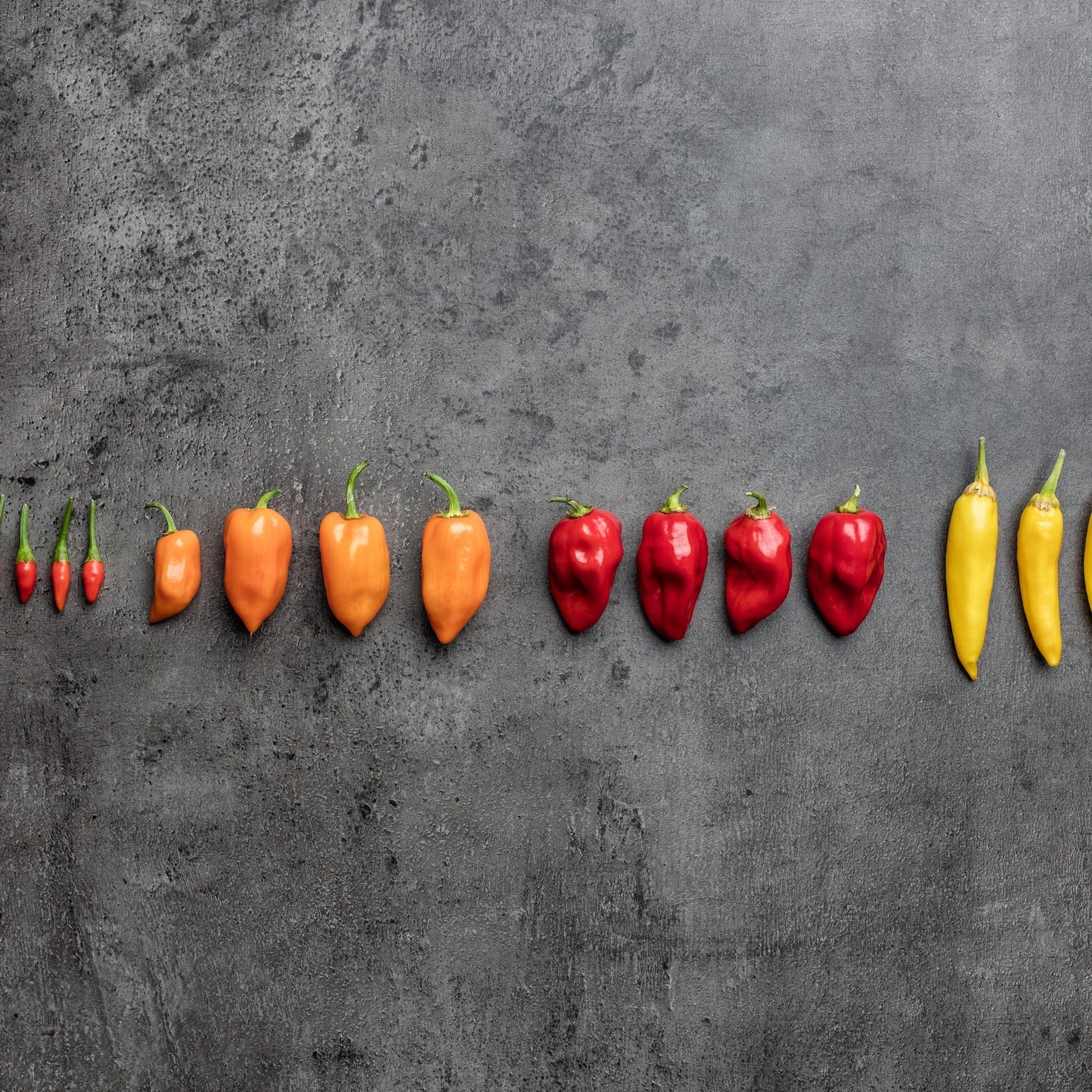 Scoville Skala erklärt: Schärfegrade, Rekorde und die schärfste Chili der Welt