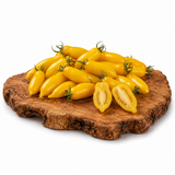 Banana Legs - Tomatenpflanze