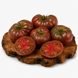 Brandywine Black - Tomatenpflanze