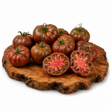 Cherokee Chocolate Stripes - Tomatenpflanze