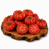 Costoluto Genovese - Tomatenpflanze