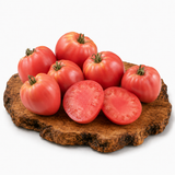 Cuor di Bue - Tomatenpflanze