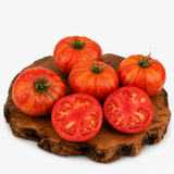 Feuerwerk - Tomatenpflanze