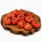 Gogoshari Striped - Tomatenpflanze