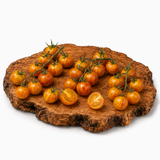 Golden Bumblebee - Tomatenpflanze