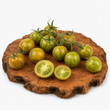 Green Zebra - Tomatenpflanze