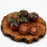 Karma Purple Multiflora - Tomatenpflanze