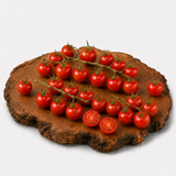 Mexikanische Honigtomate - Tomatenpflanze