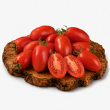 Rio Lago - Tomatenpflanze