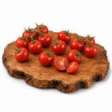 Ruthje Tomatenpflanze mit reifen roten Cocktailtomaten