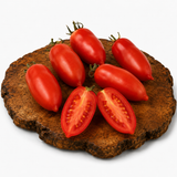 San Marzano - Tomatenpflanze