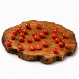 Tomfall Hanging - Tomatenpflanze